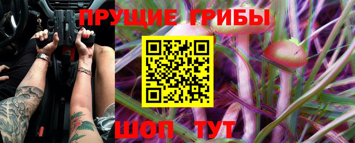 Псилоцибиновые грибы ЛСД  Вход с VPN  Псилоцибиновые грибы GOLDEN TEACHER  Гусев 